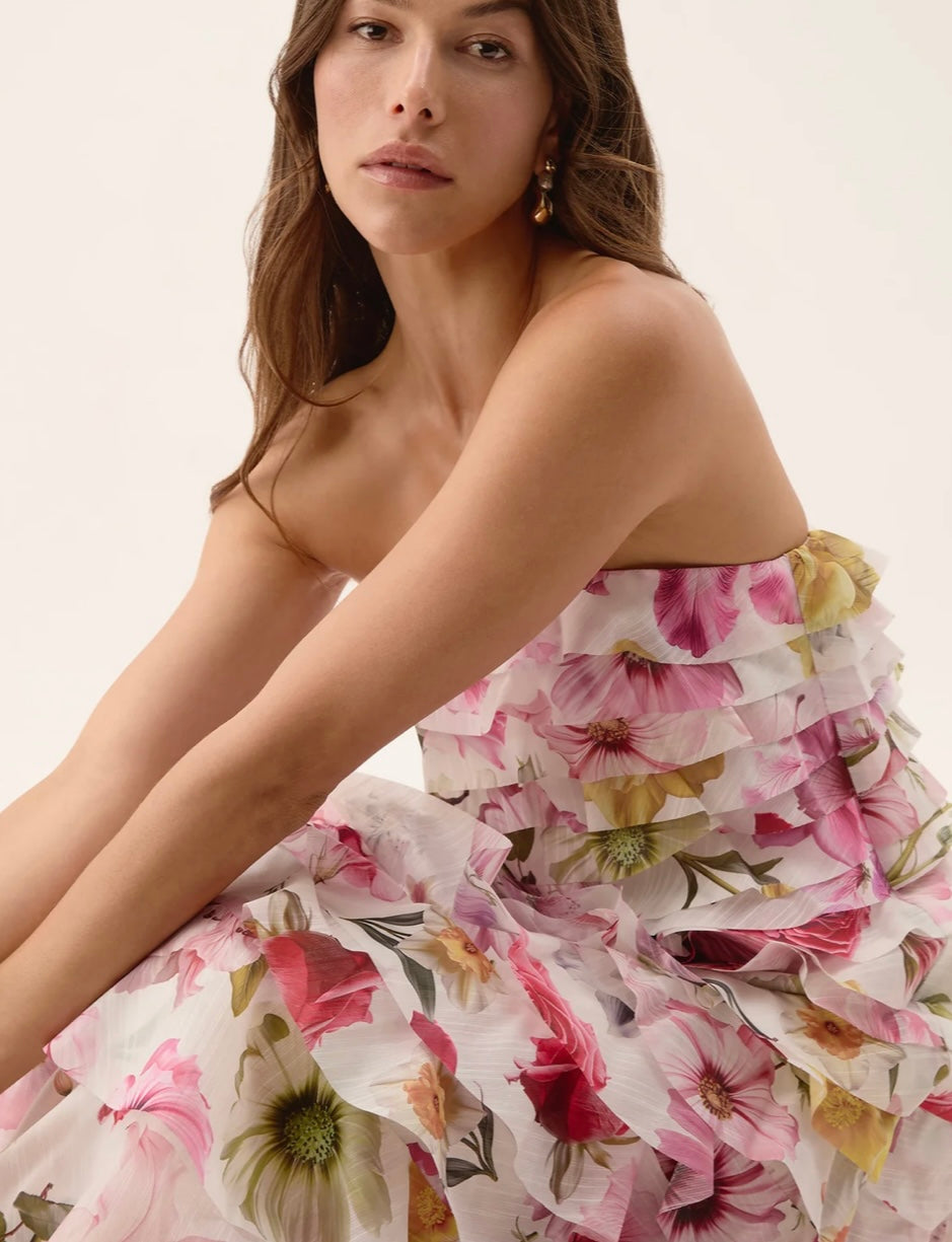 AJE - Fleur Pleated Gown (Size 8)