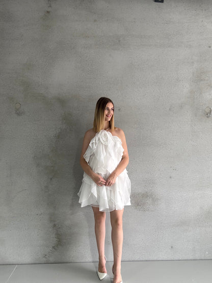 AJE - Pandorea Layered Mini Dress (AU 16)