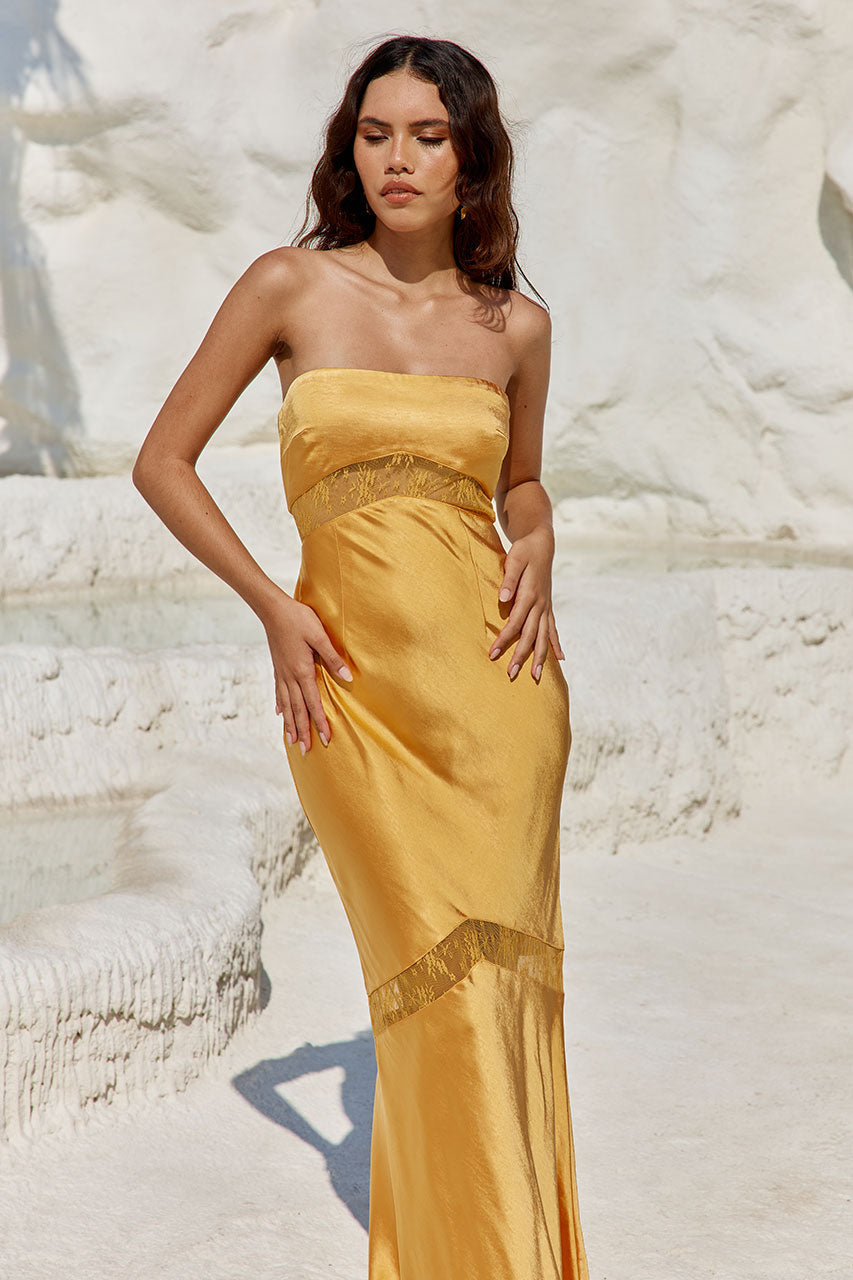 RUNAWAY THE LABEL - Melrose Maxi Dress (M)